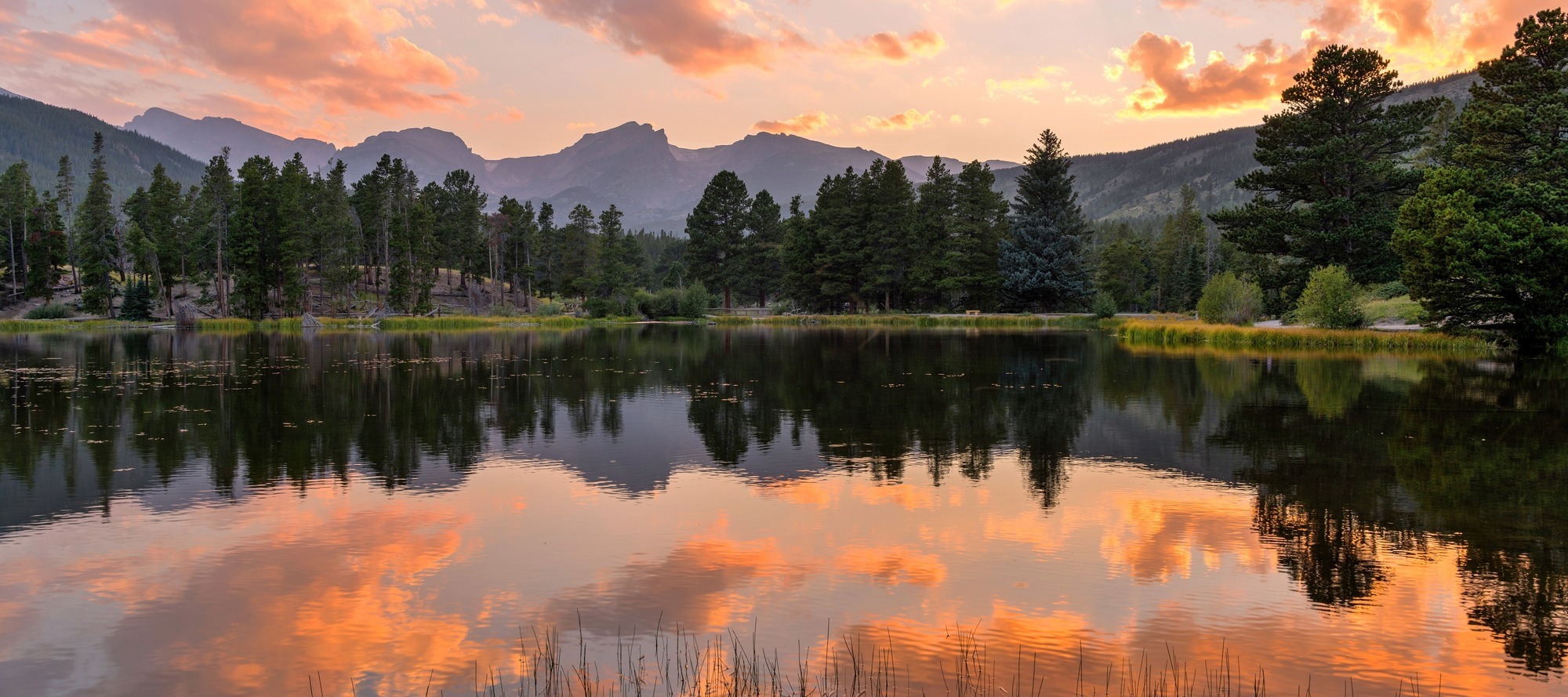 shutterstock_2141216245-1